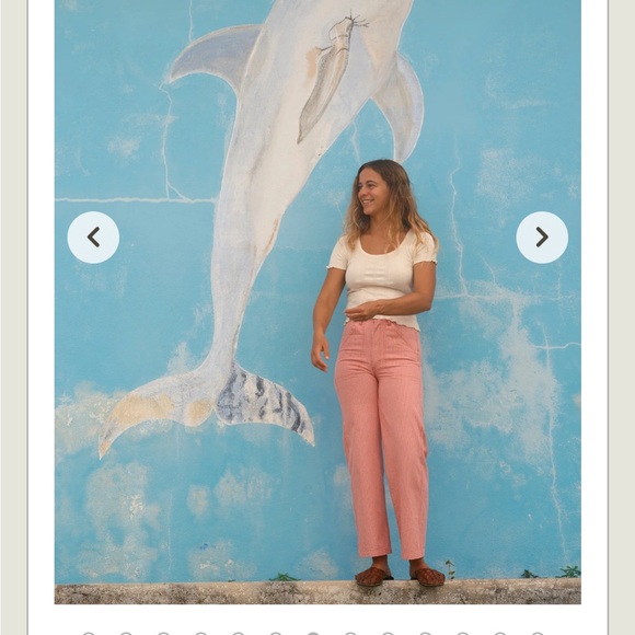 Mollusk Painter Pants pink railroad stripe - Picture 3 of 15